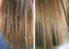 Что делать, если сильно секутся волосы по всей длине? Способы восстановления секущихся волос и правила профилактики проблемы